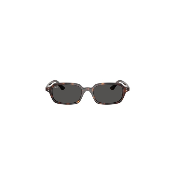 RAY BAN RB 4455/135987/52