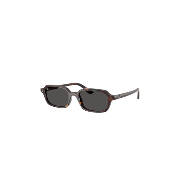 RAY BAN RB 4455/135987/52 - Image 3